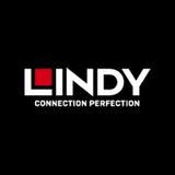 lindy singapore